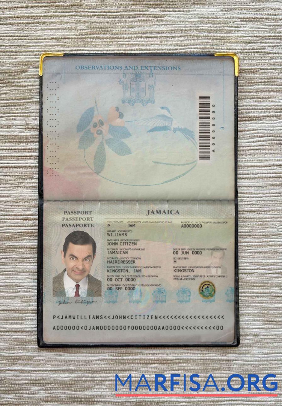 Downloadable Jamaica pass photo look example